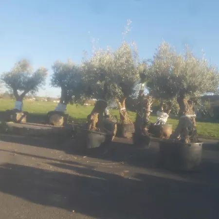 Maison Aigueleze Au Bord Du Tarn Casa de Férias *